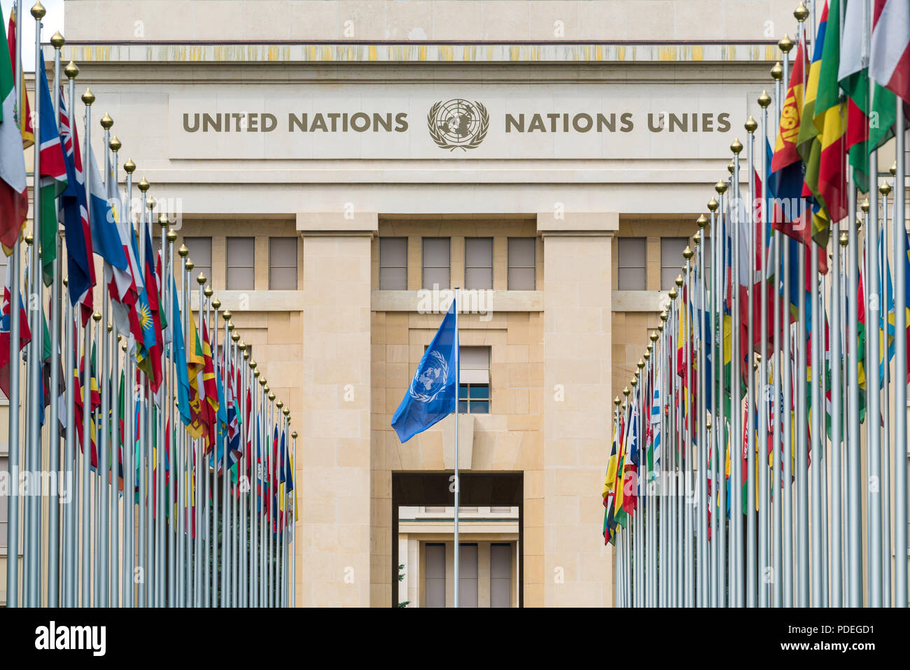 Flags of the members of the United Nations flying from a row of flag