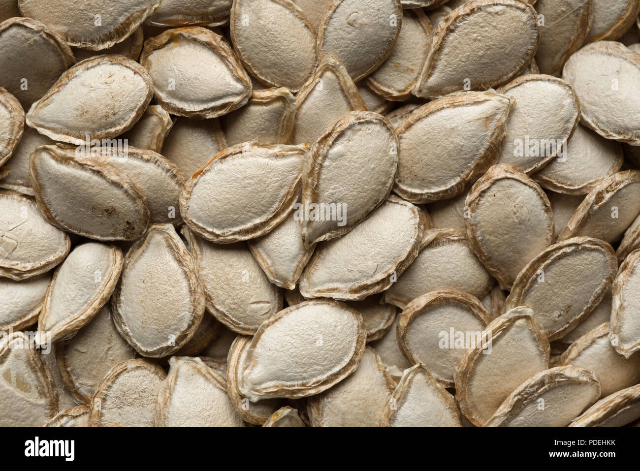 Close-up of organic untreated Cucurbita moschata seeds. Stock Photo