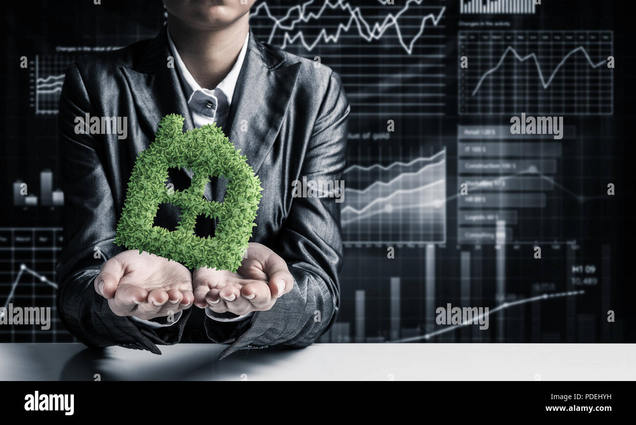 Picture of Concept of eco friendly real estate Stock Photo - Alamy