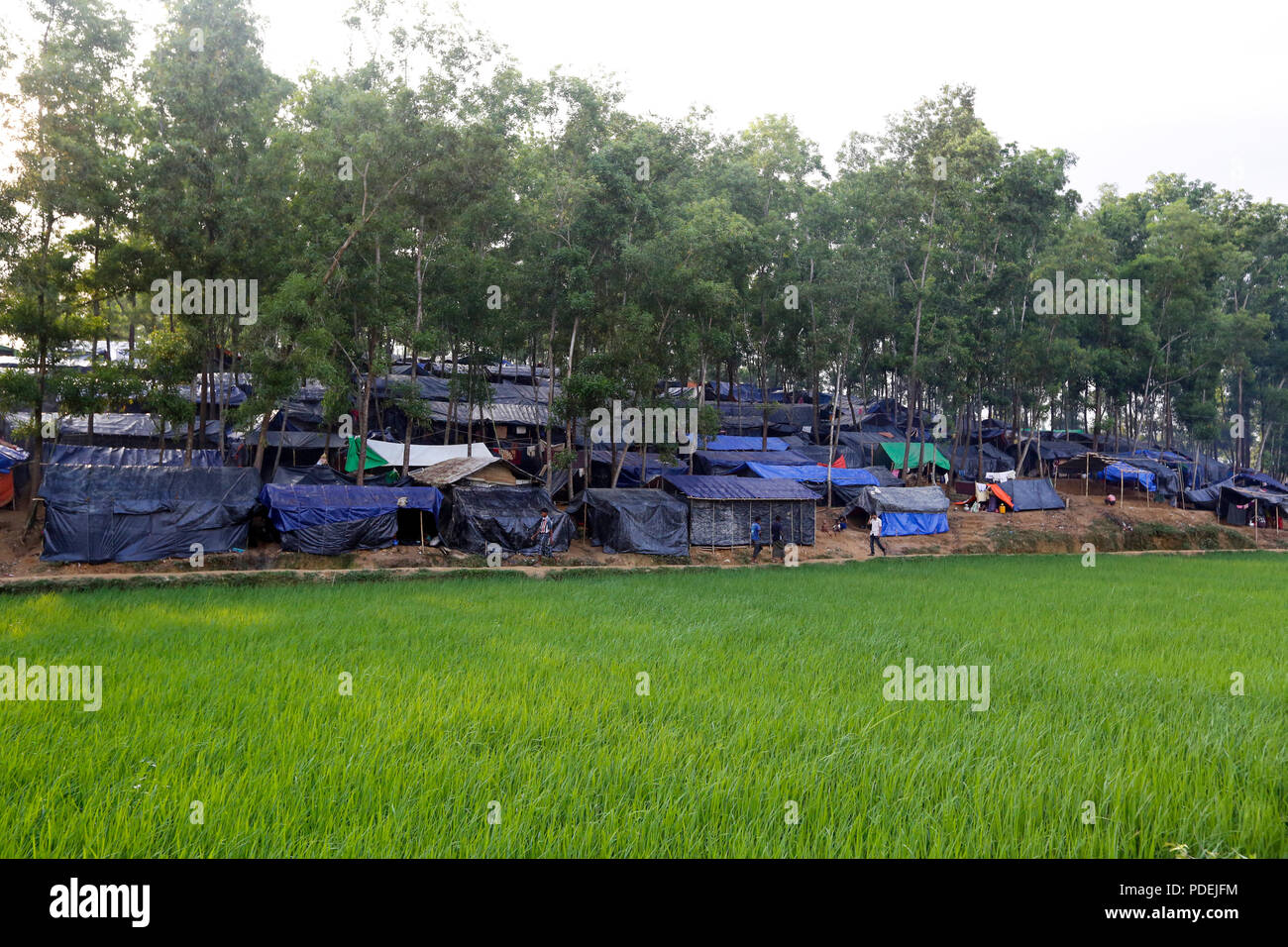 Rohingya refugees take shelter on a hill at Kutupalong, Cox's Bazar, Bangladesh Stock Photo