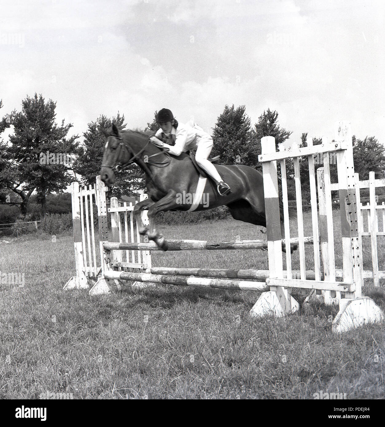 1960s, a teenage girl riding a horse jumping an obstable or fence in a field, England, UK