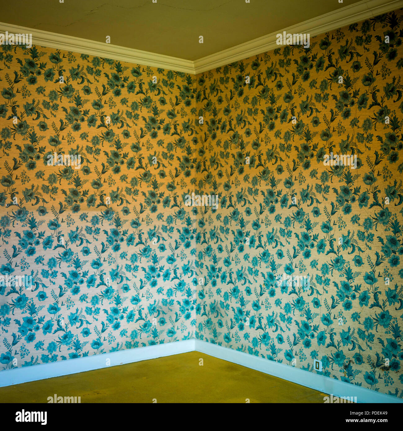 ugly wallpaper: tashabear — LiveJournal