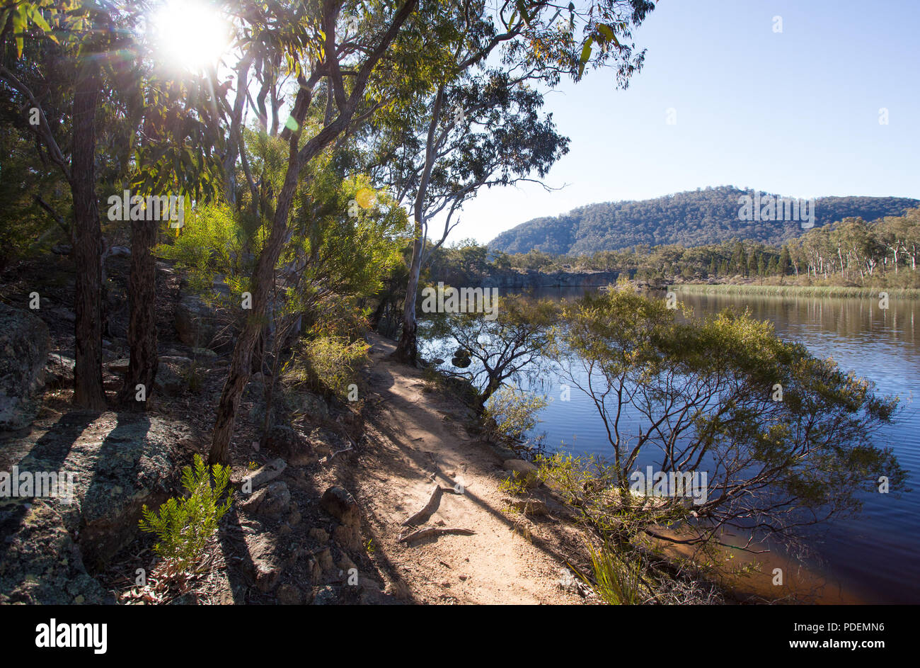Walking trail along the edge of Dunn's Swamp, Wollemi National Park, NSW, Australia Stock Photo