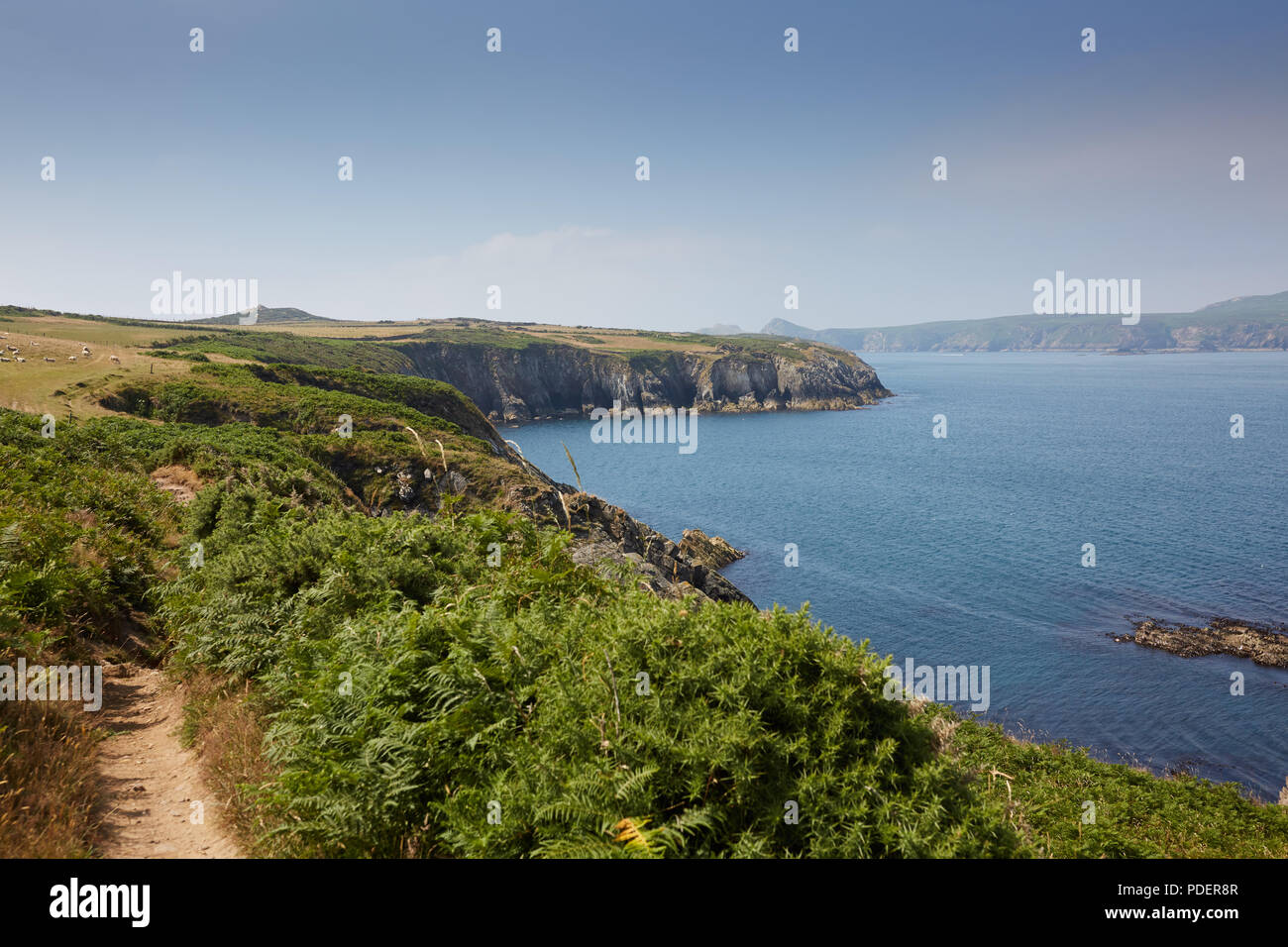 Walking along the Pembrokeshire Coastal path on a warm bright sunny day, looking over to the sea and Ramsey Island Stock Photo