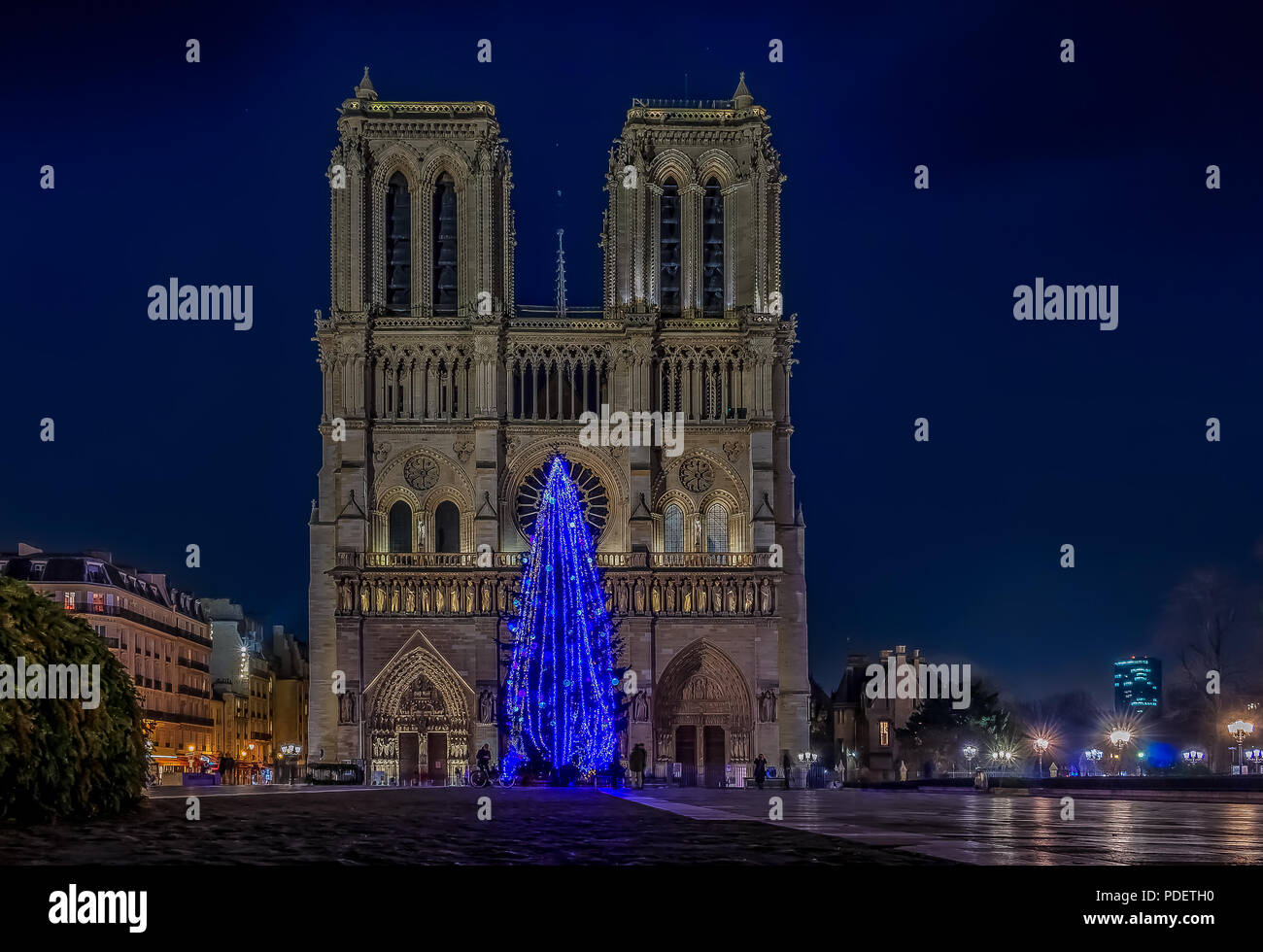 Illuminated blue Christmas tree at Notre Dame de Paris Cathedral the world famous Gothic Roman