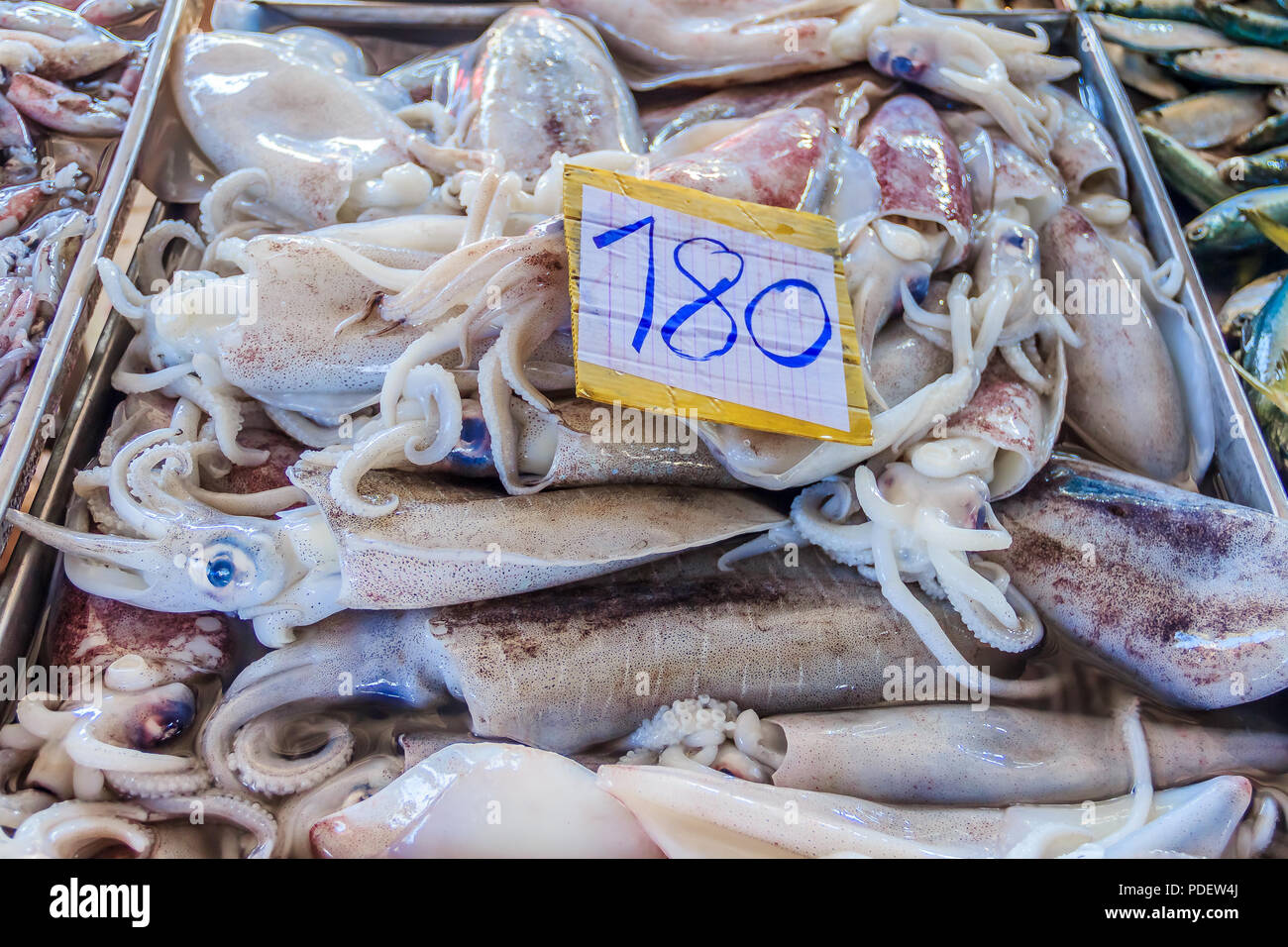 Fresh squid Produce at the Market in Krabi Town, Thailand Stock Photo