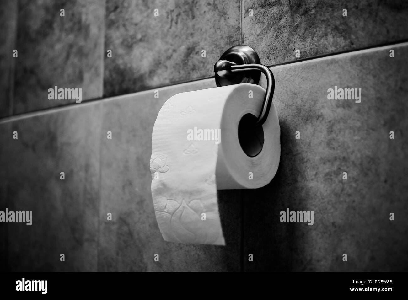 white toilet paper on chrome holder Stock Photo