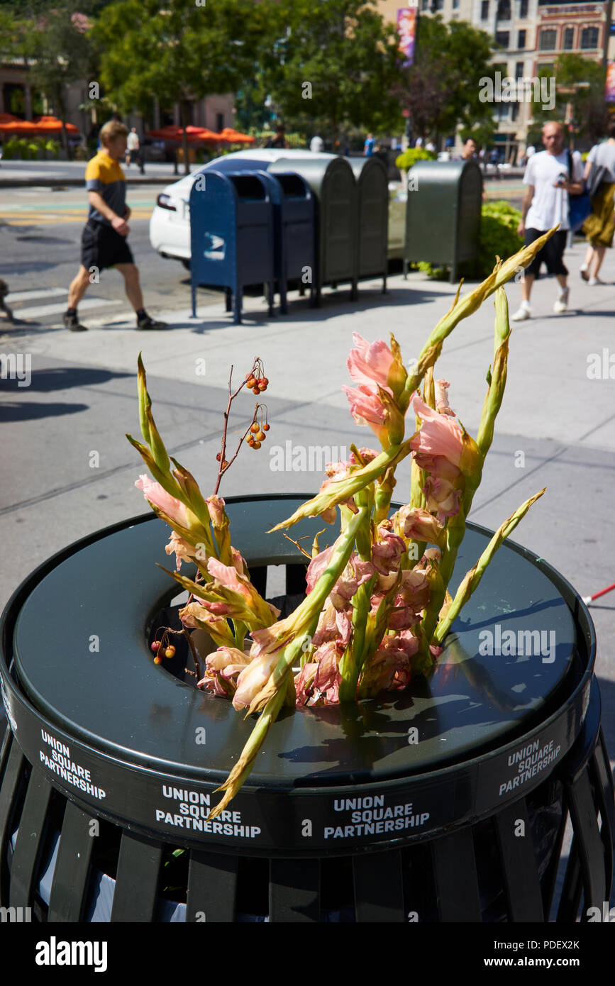 Flowers in a Manhattan trash bin Stock Photo Alamy