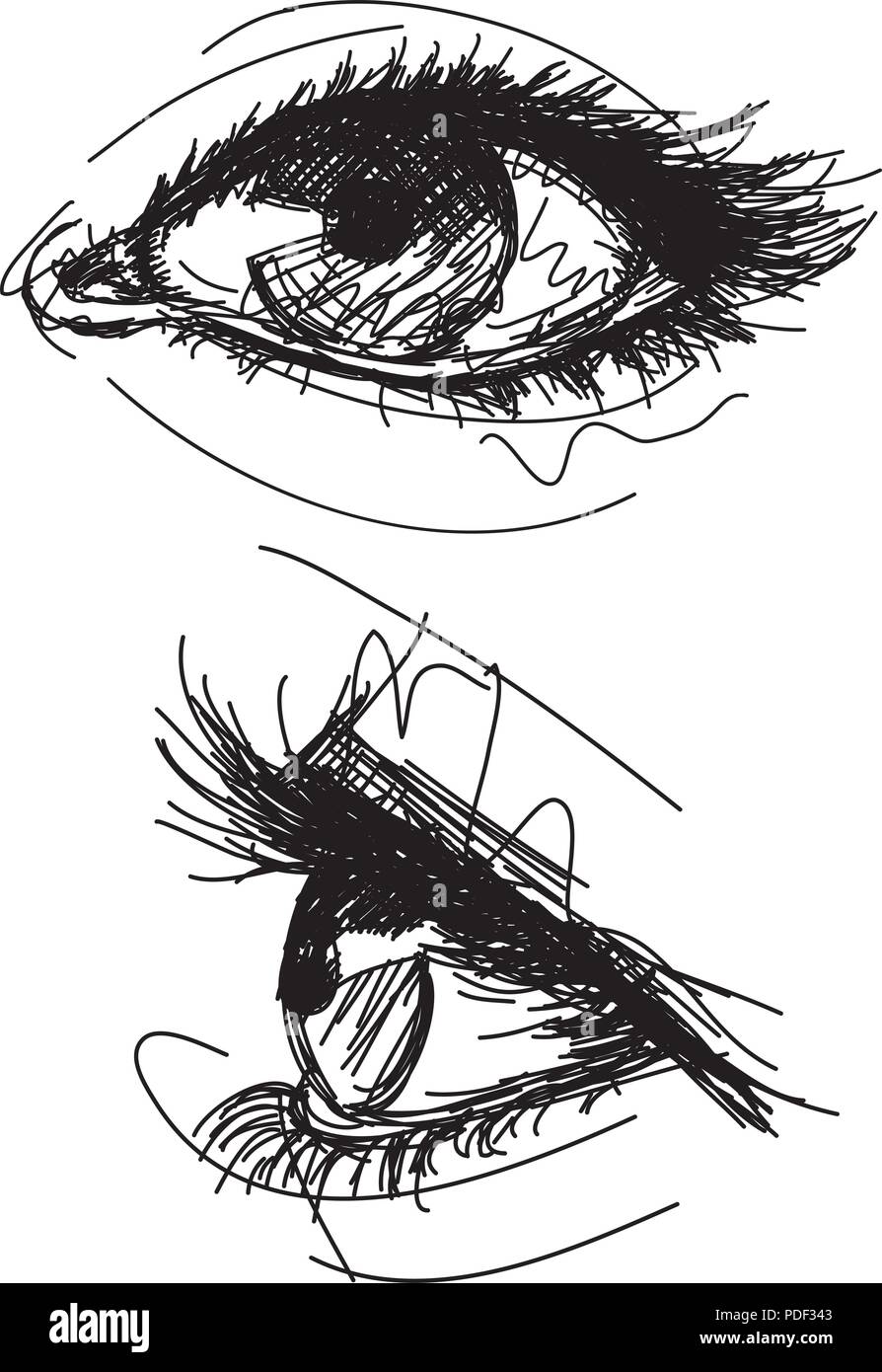 Sketchy female eyes Stock Vector