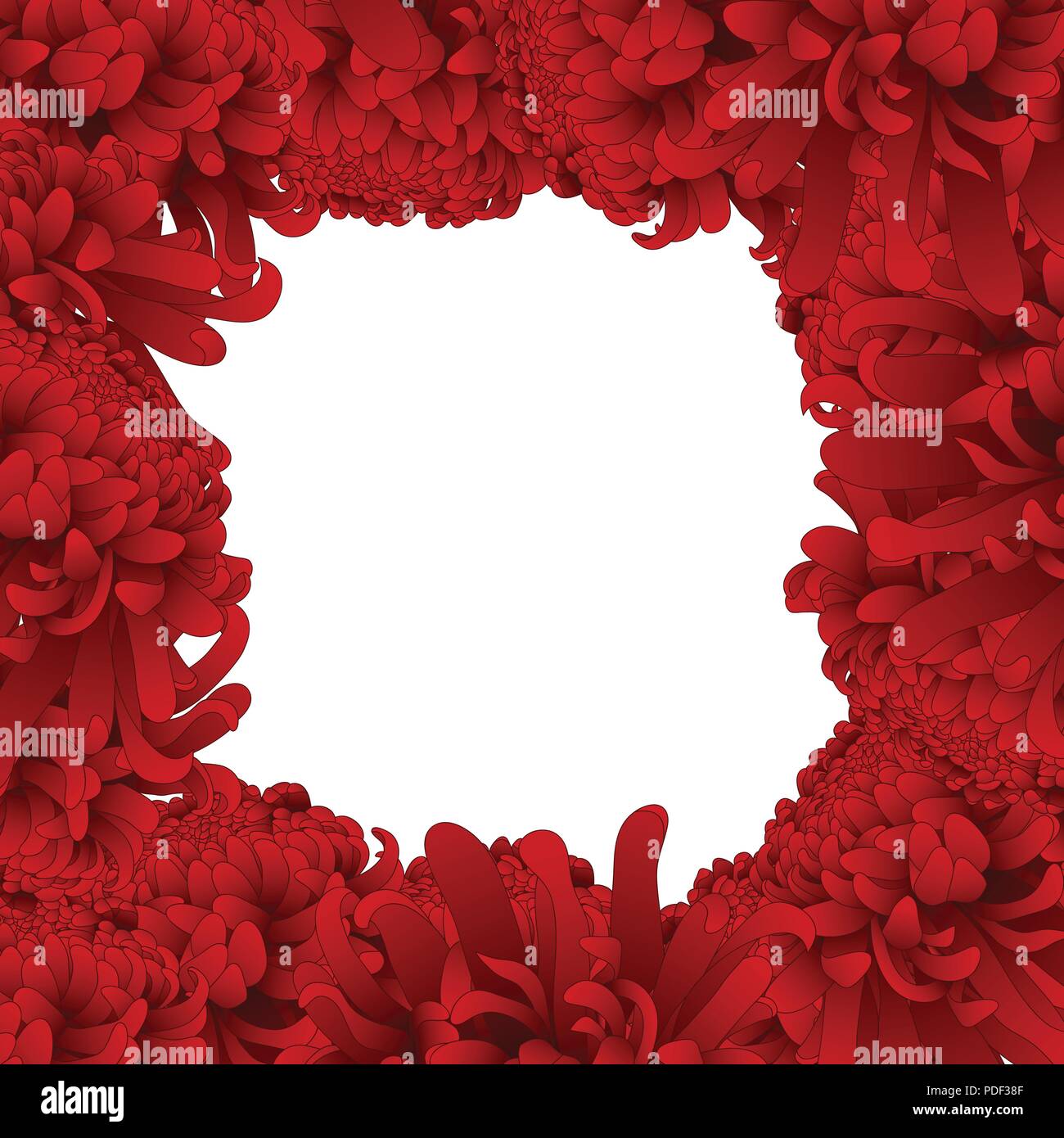 Red Chrysanthemum, Kiku Japanese Flower Border. Vector Illustration