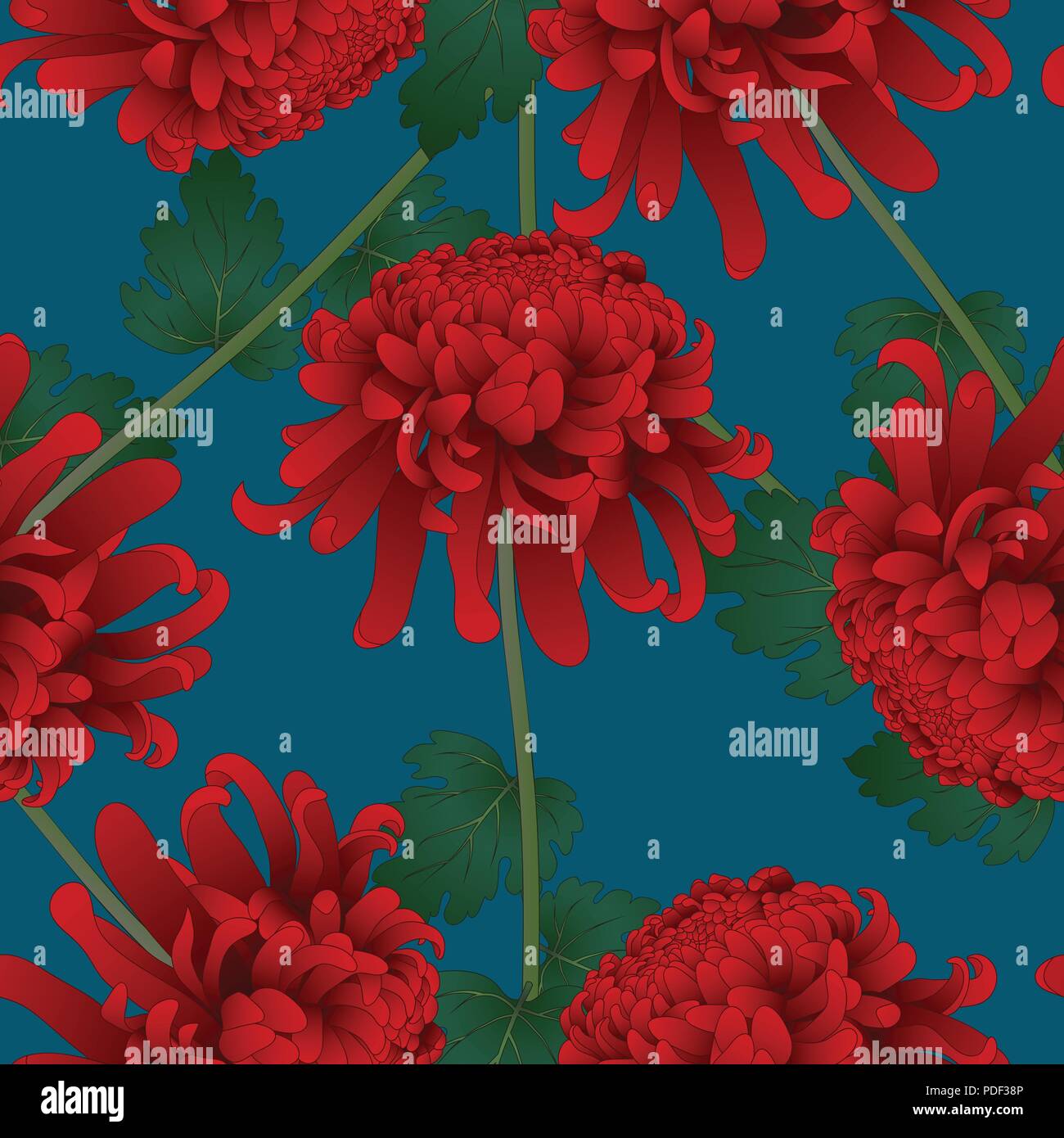 Red Chrysanthemum, Kiku Japanese Flower on Indigo Blue Background