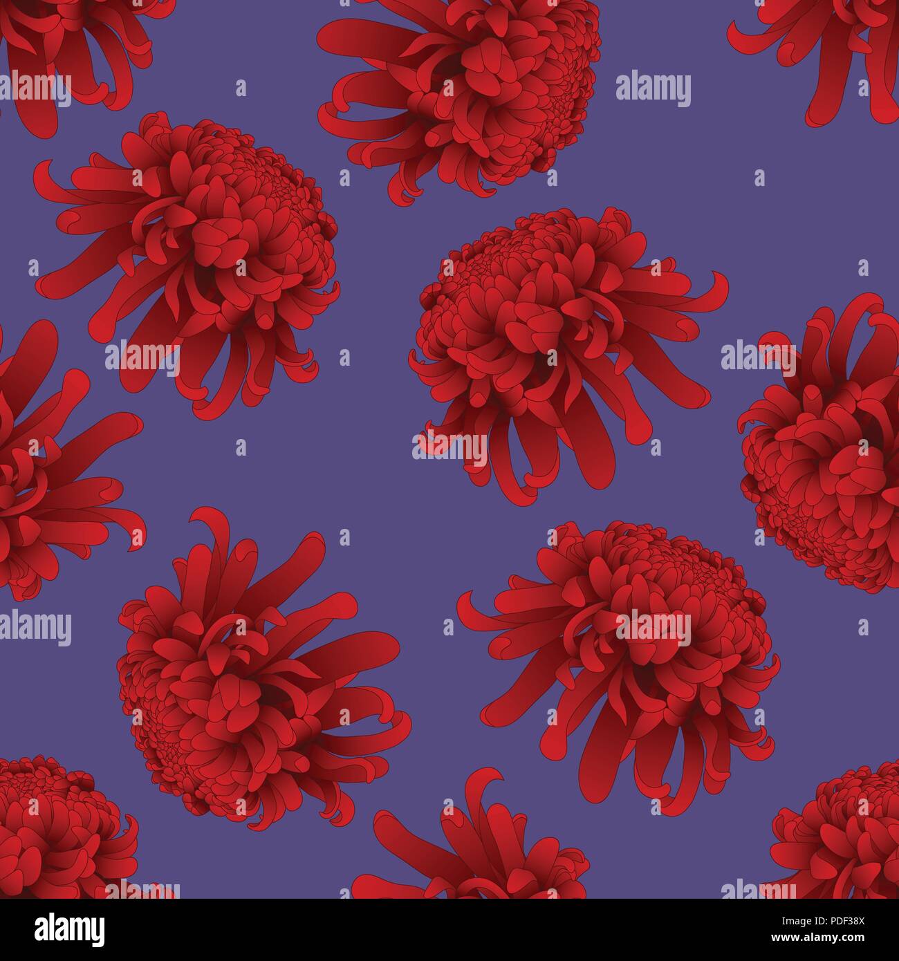 Japanese chrysanthemum kiku Stock Vector Images Alamy