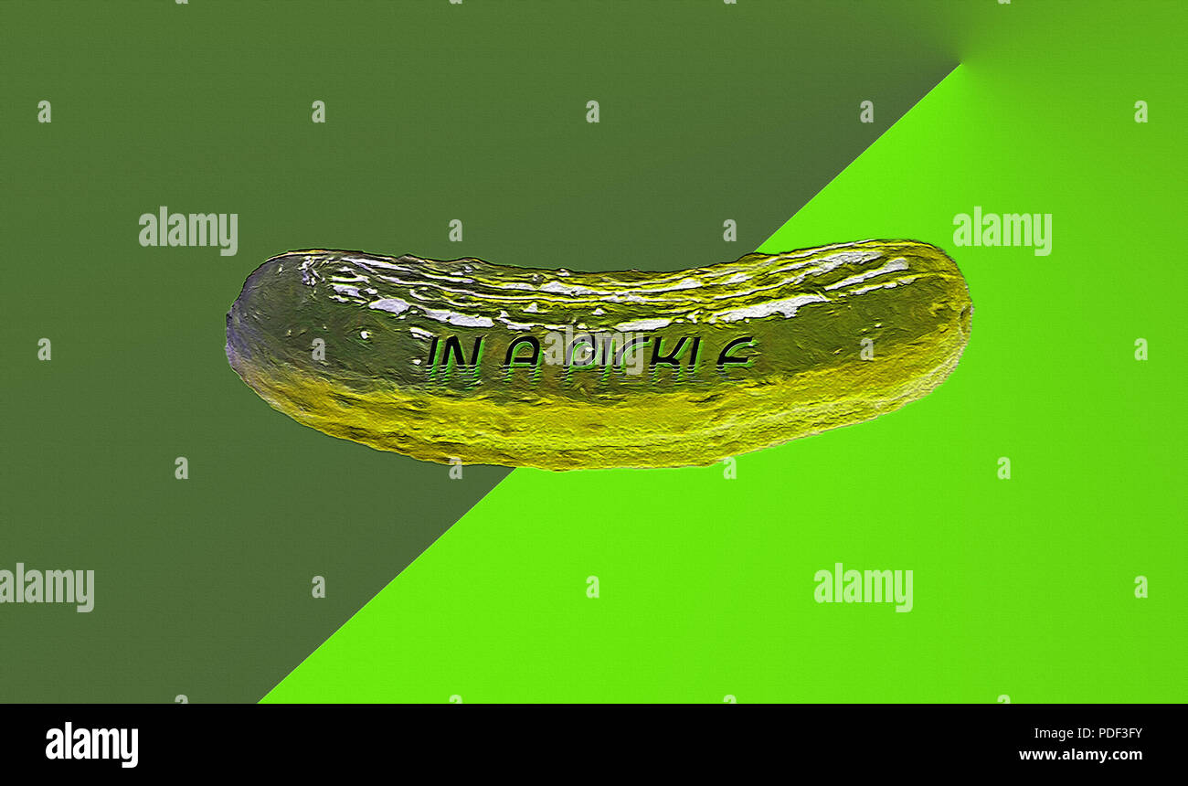 A conceptual piece 'in A Pickle' that alludes to the varied 'pickles' we as humans can find ourselves in. Stock Photo