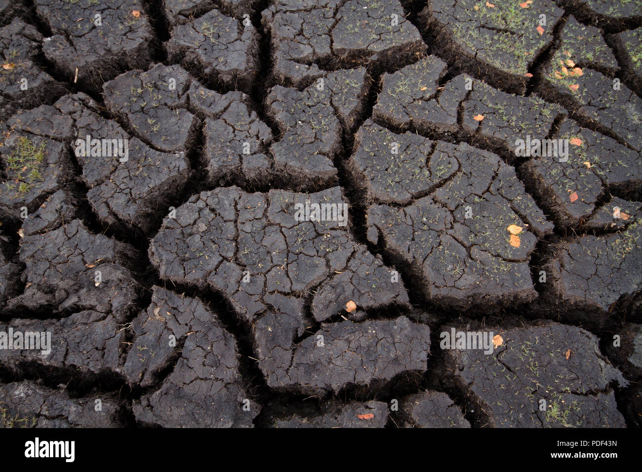 Climate change and global warming: heat and drought causing cracked soil Stock Photo