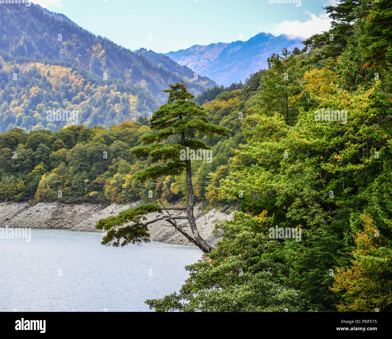 Mountain scenery at autumn in Tateyama Kurobe Alpine Route, Japan. Stock Photo