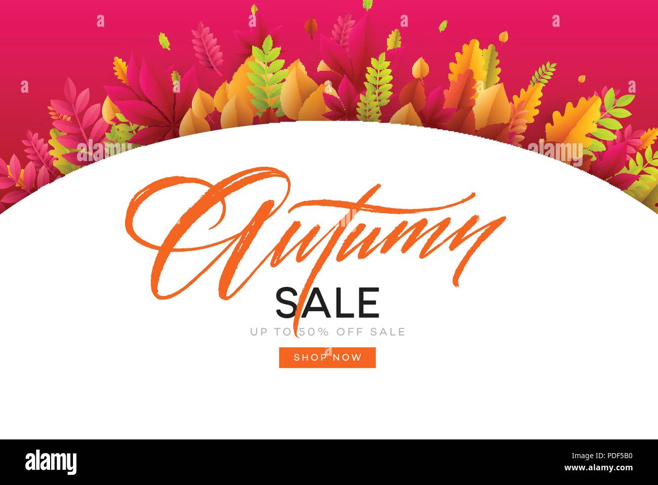 Banner for autumn sale in frame from leaves. Vector illustration Stock Vector
