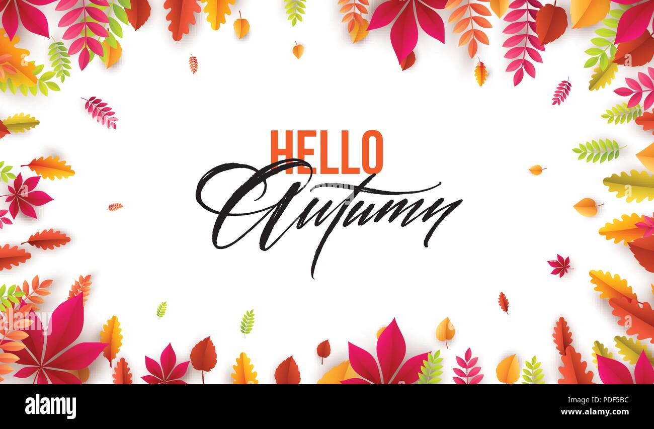 Hello autumn. Different colored autumn leaves background. Vector illustration Stock Vector