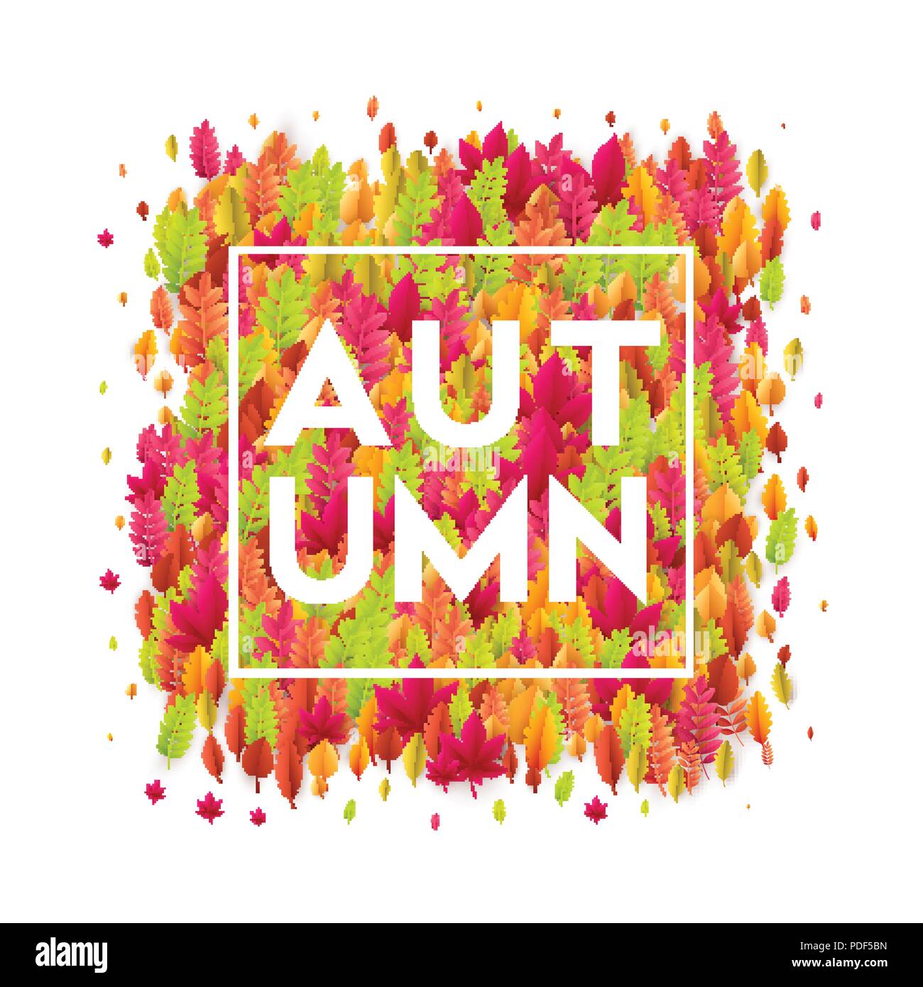 Hello autumn. Different colored autumn leaves background. Vector illustration Stock Vector