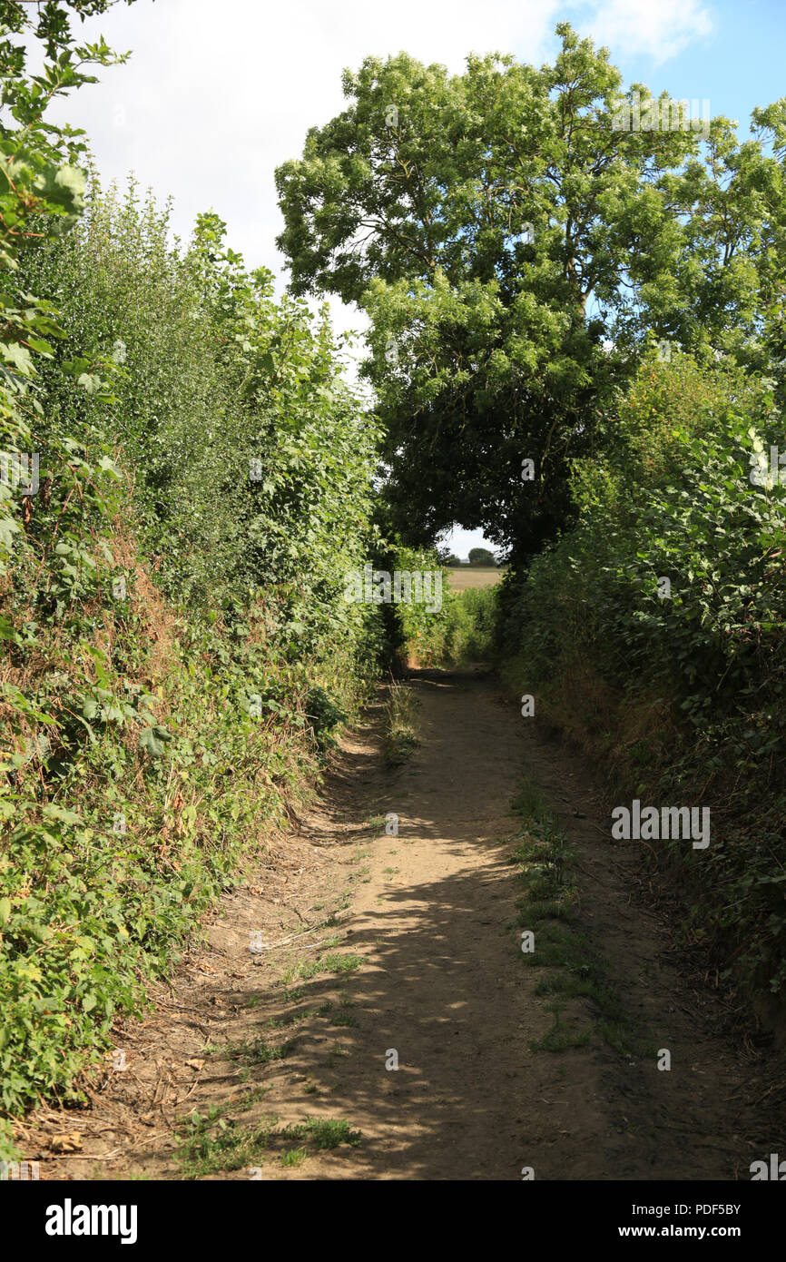 Old road dating from the middle ages that runs through green belt land at Lutley, Halesowen, UK. Stock Photo
