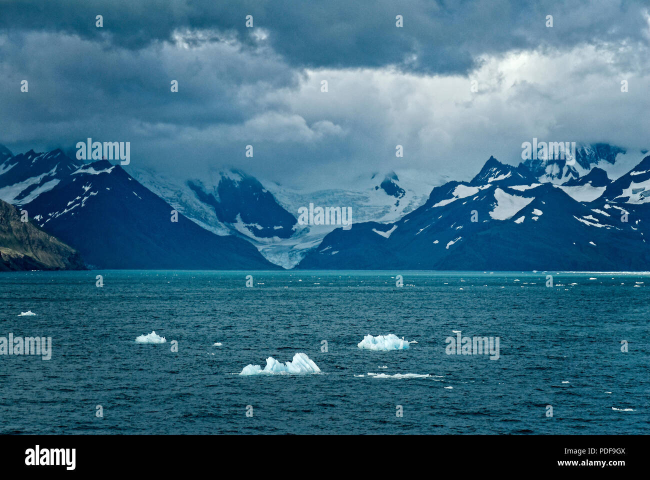 Pieces of iceburg known as bergy bits floating off the coast of South ...