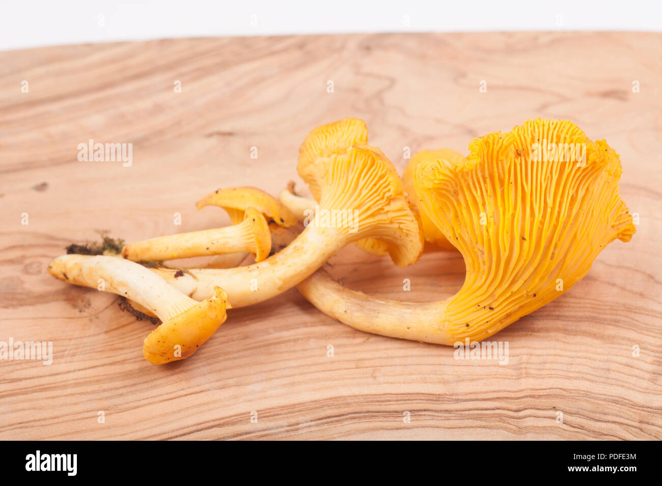 Chanterelles, catharellus cibarius, on an olive wood chopping board