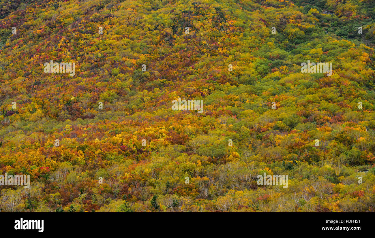 Mountain scenery at autumn in Tateyama Kurobe Alpine Route, Japan. Stock Photo