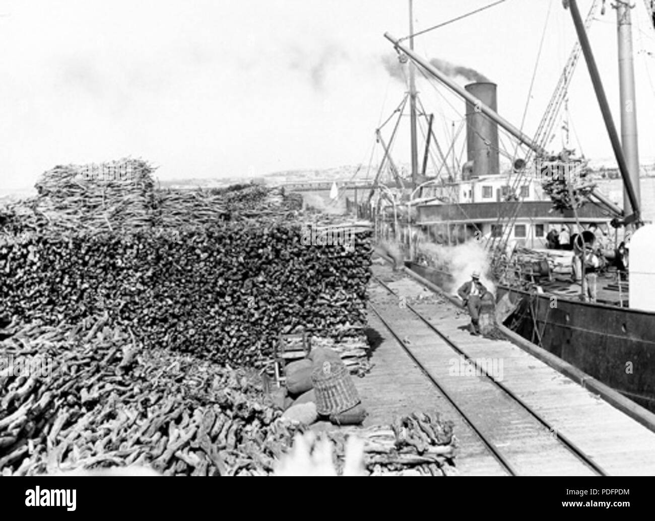 128 Sandalwood export 1905 Stock Photo