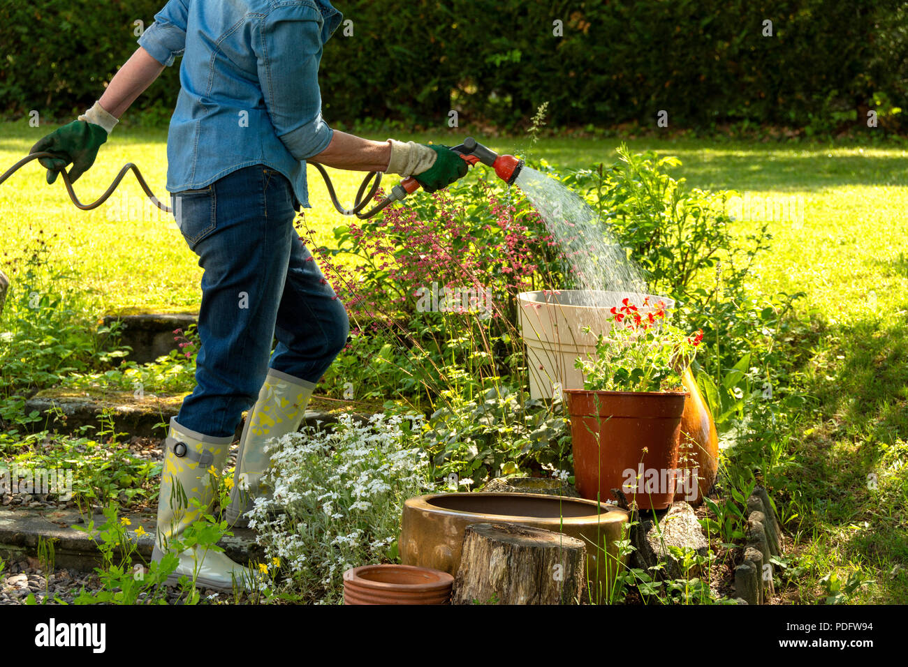 Woman watering her flowers in his garden Stock Photo