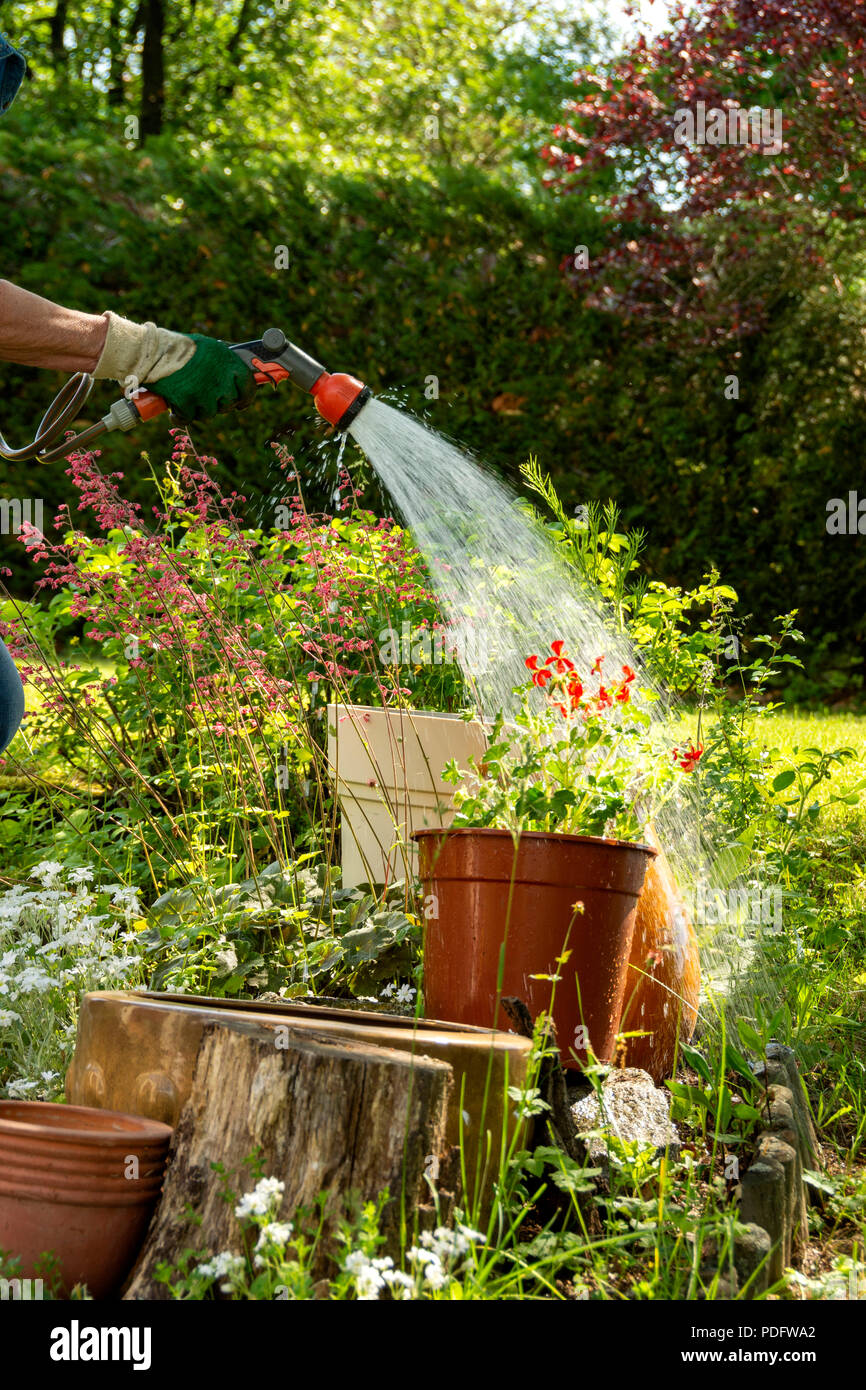 Woman watering her flowers in his garden Stock Photo