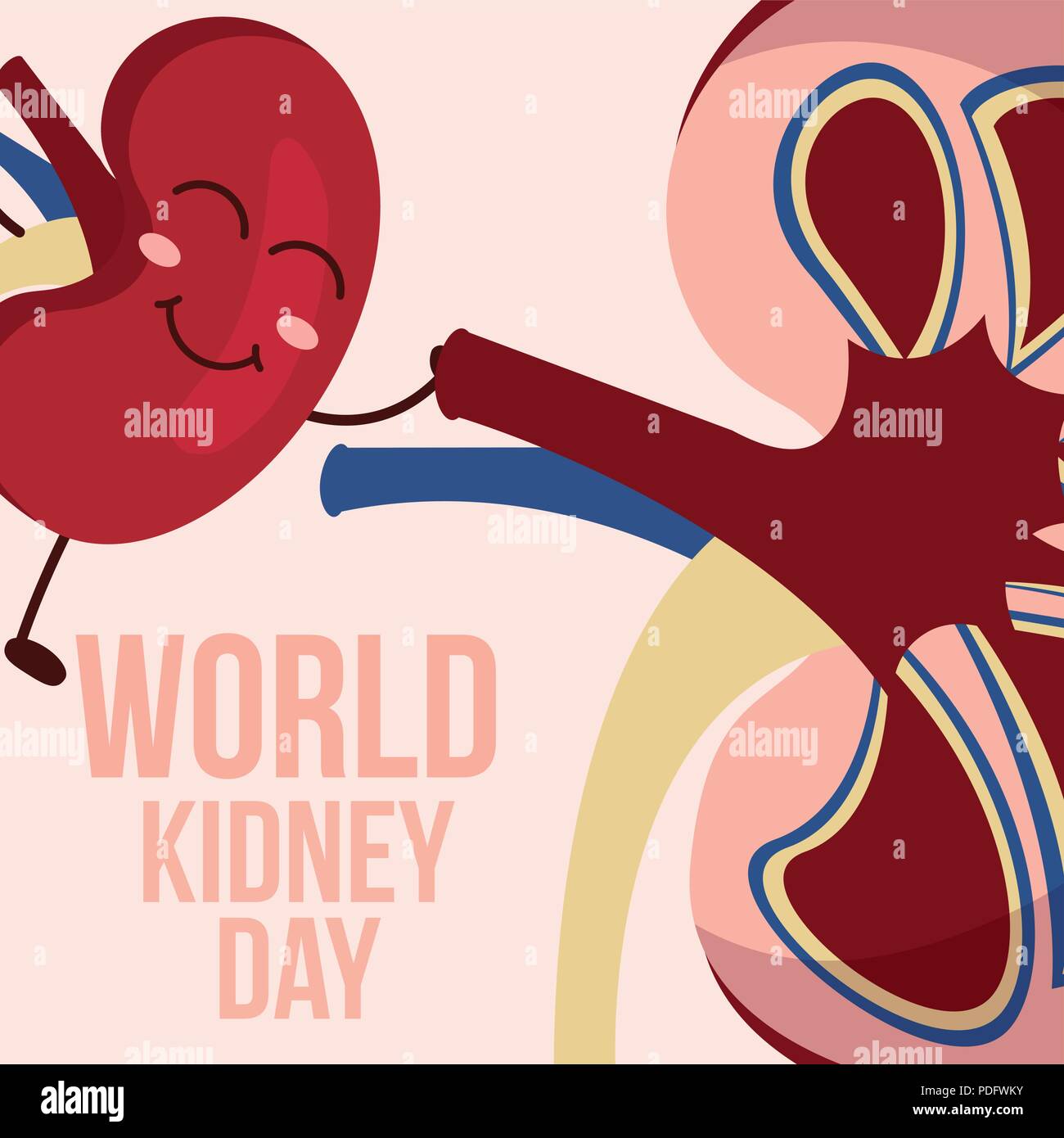 world kidney day Stock Vector Image & Art - Alamy