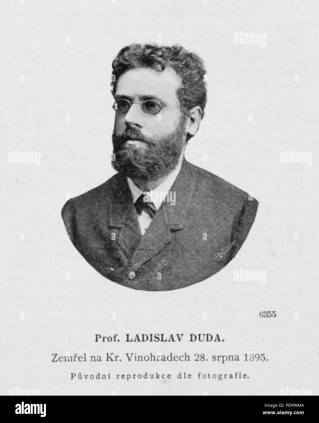 Insect heteroptera Black and White Stock Photos & Images - Alamy