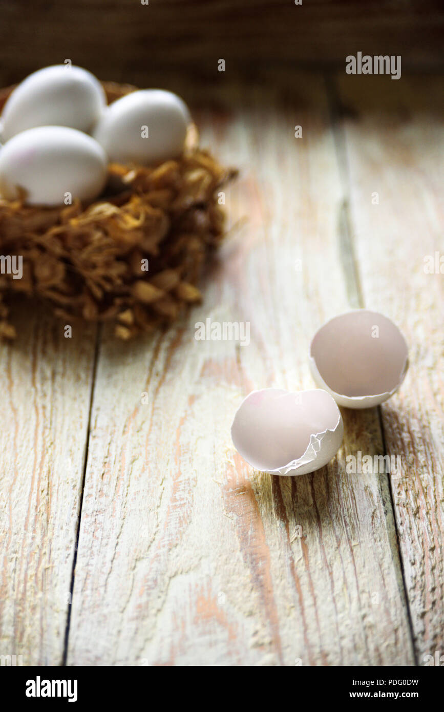 White eggs inthe nest with cracked shell near it. Feather of bird and branches Stock Photo