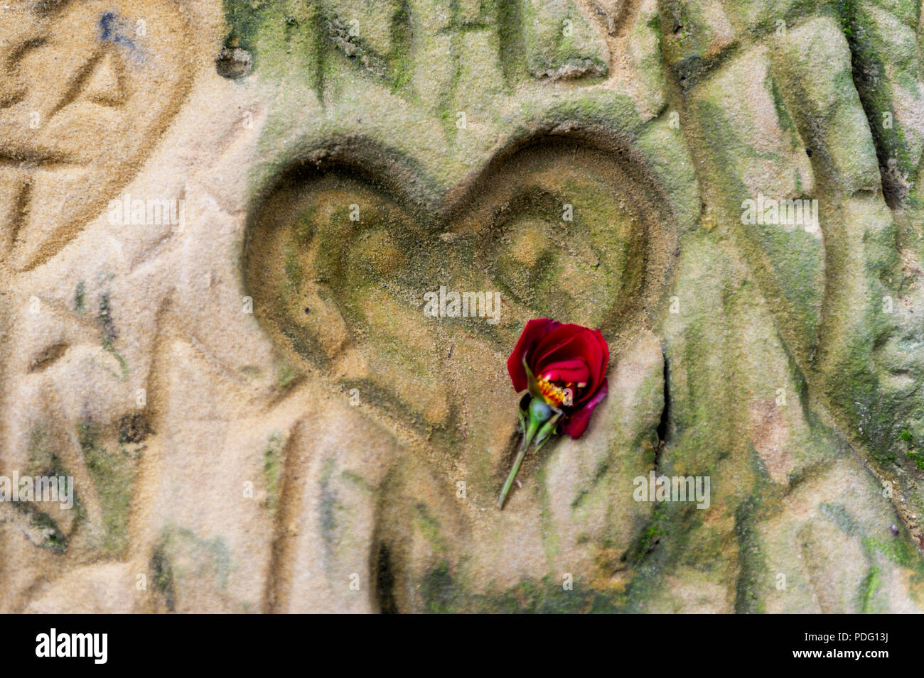 Lovehearts carved into rock at Petrin Prague Czech Republic Stock Photo