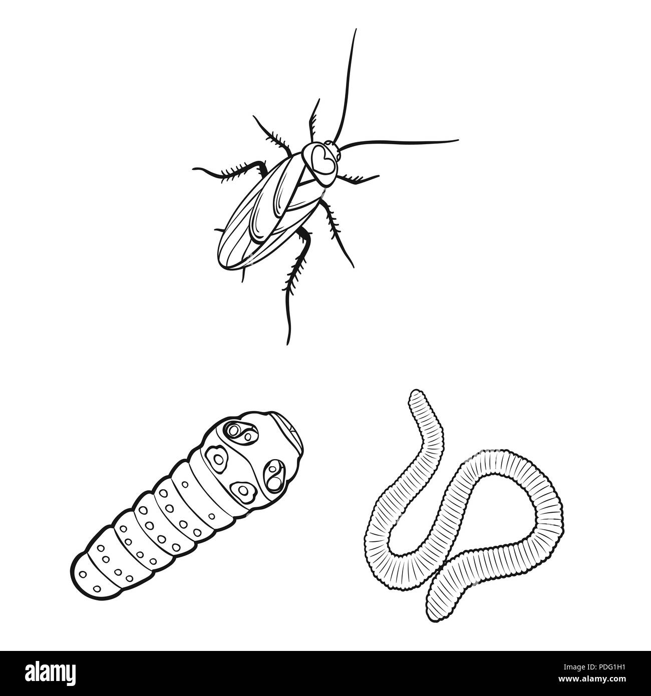 Different kinds of insects outline icons in set collection for design ...
