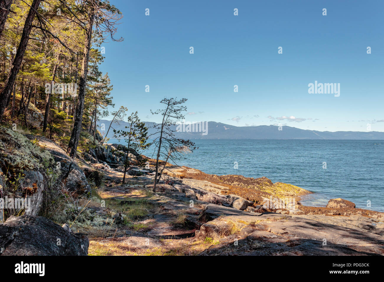 Golden sunlight and shadows fall across trees, mosses and a rocky shoreline on BC's Sunshine Coast, with a view of Malaspina Strait and Texada Island. Stock Photo