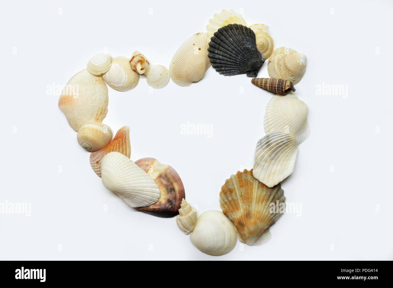 Sea shells scraped together, isolated on white background Stock Photo ...