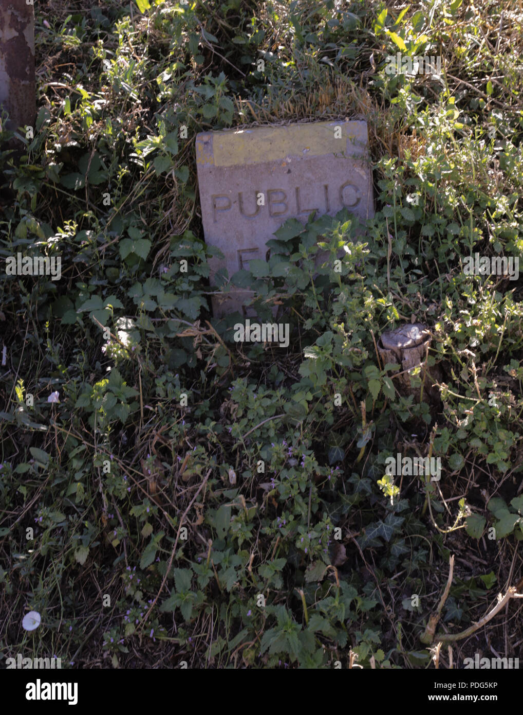 Hidden from hi-res stock photography and images - Alamy