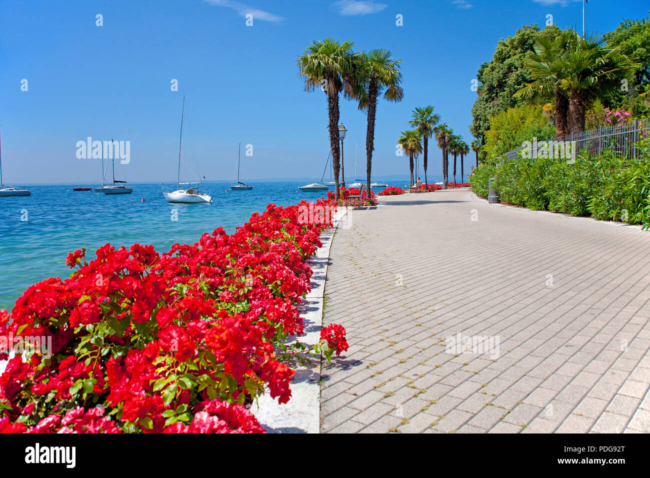 Flower decorated lake promenade at Garda, province Verona, Lake Garda, Italy Stock Photo