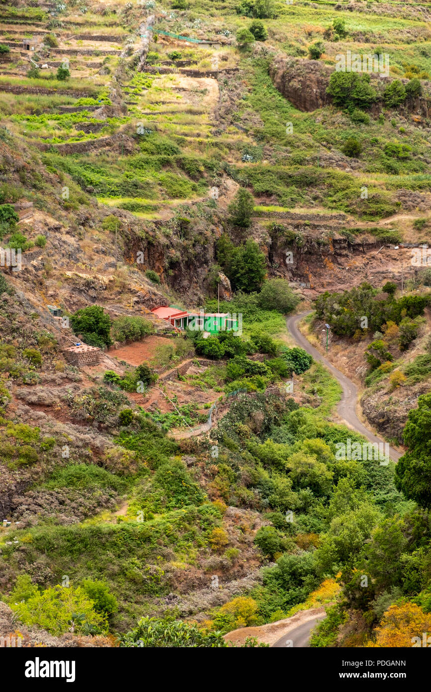 Anaga region in the north of Tenerife, between Punta Hidalgo and El Batan walking through the barrancos, Tenerife, Canary Islands, Spain Stock Photo