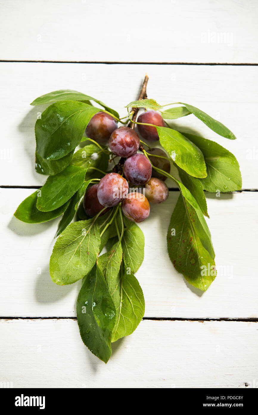 plums on a wooden table Stock Photo