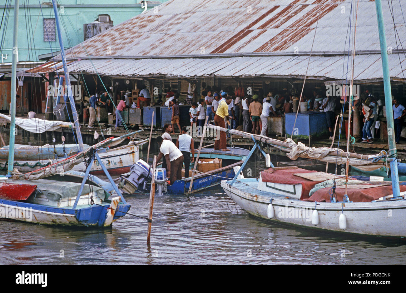 Fishing boats in Haulover Creek fish market, Belize City, Belize