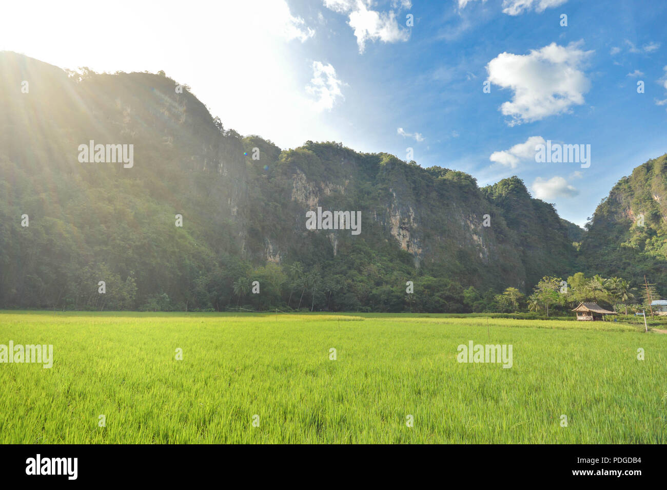 Beautiful limestone in Rammang Rammang park near Makassar, South Sulawesi, Indonesia Stock Photo