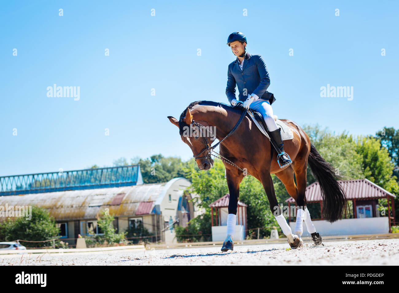 Exhausted horse hires stock photography and images Alamy
