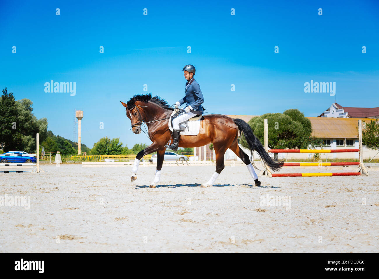Promising equestrian riding his brown horse very fast Stock Photo Alamy