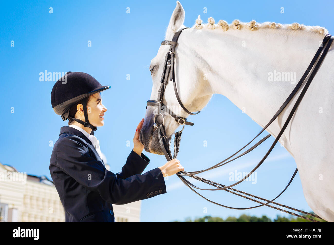 Horse rider wearing helmet hires stock photography and images Alamy