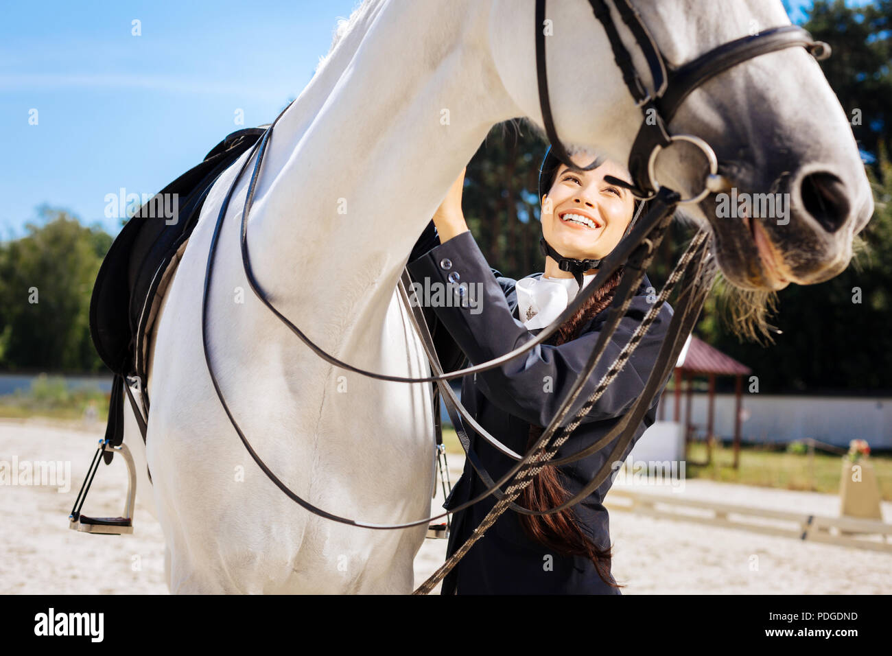 Dark-haired female rider with long braid taking care of her horse Stock ...