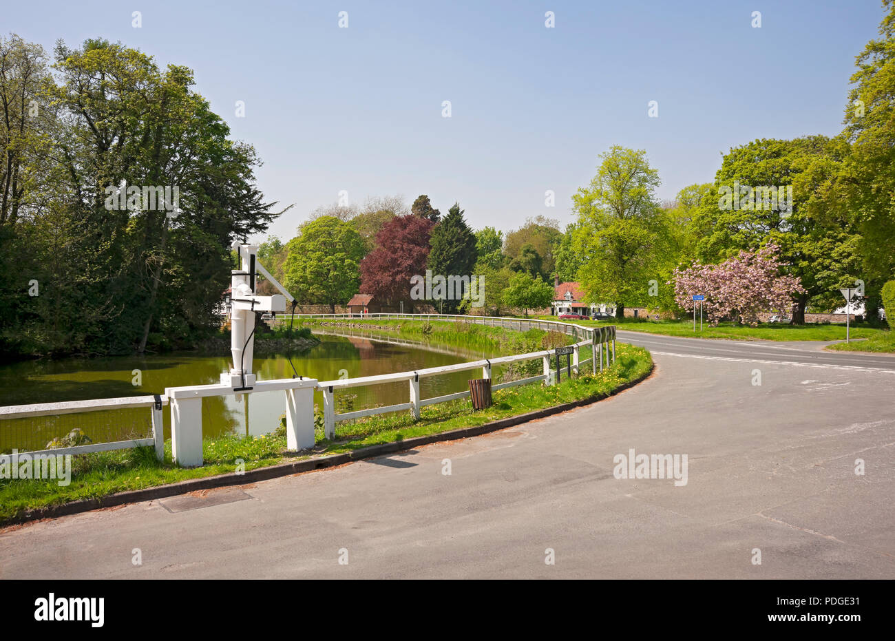 Village pond in spring Burton near Beverley East Yorkshire