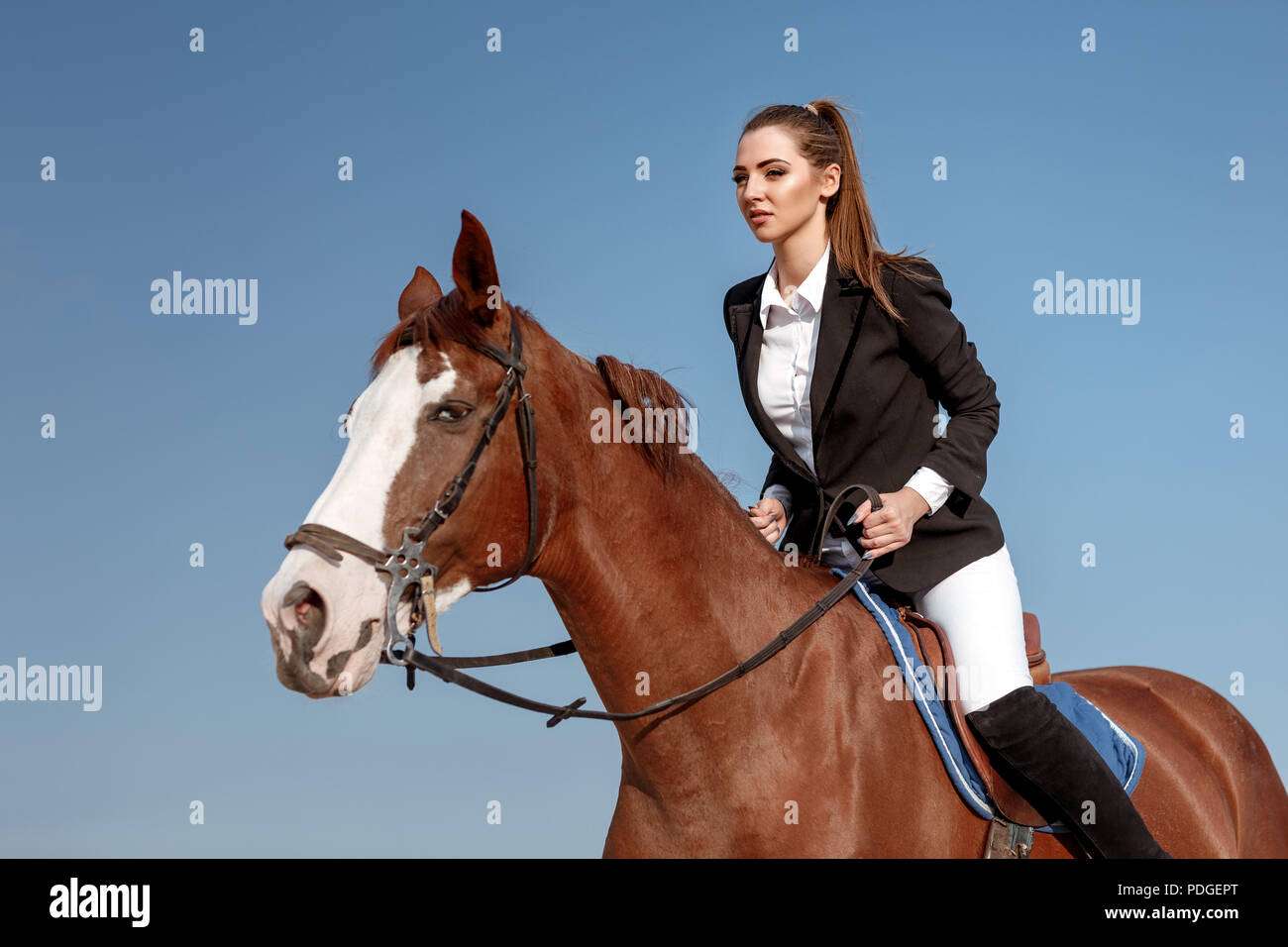 Rider elegant woman riding her horse outside Stock Photo