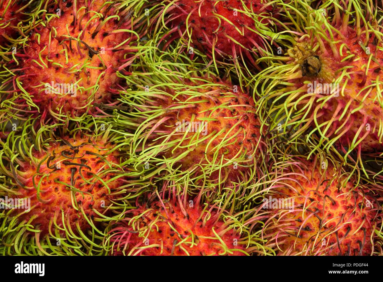 Rambutan fruit background Stock Photo - Alamy