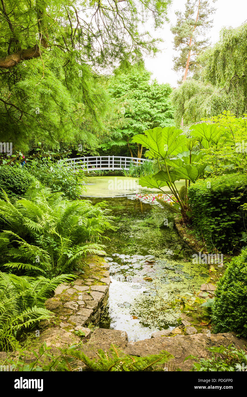 A water garden with white footbridge at The Courts in Wiltshire UK Stock Photo